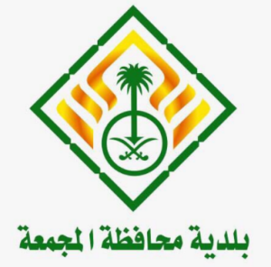 Clients & Partners (19)